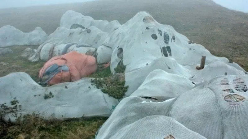 Is the giant bunny in Italy still there?