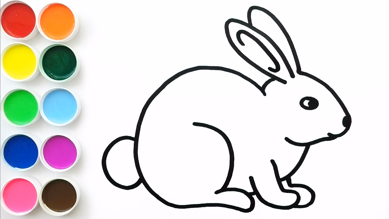 ¿Qué colores les gustan a los conejos?