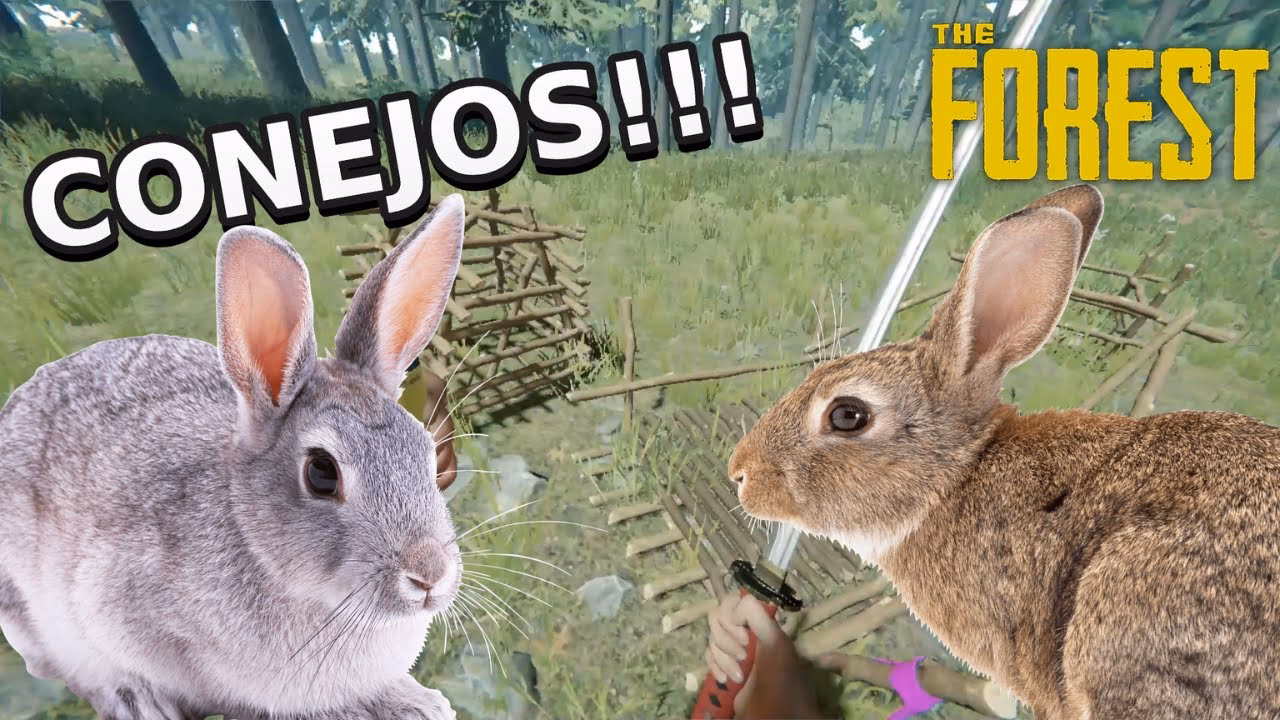 ¿Cuál es el mejor cebo para atrapar conejos?