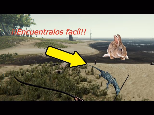 ¿Cuál es la mejor manera de cazar conejos?