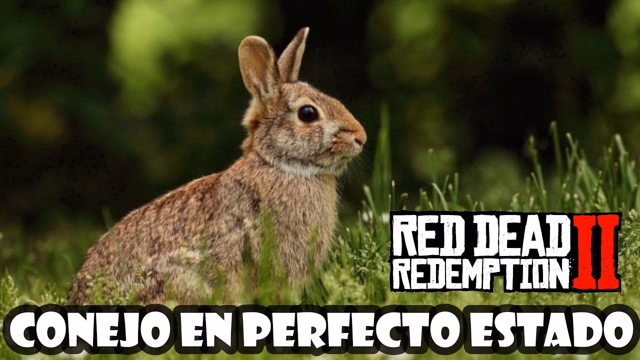 ¿Cómo se obtiene la piel de conejo?