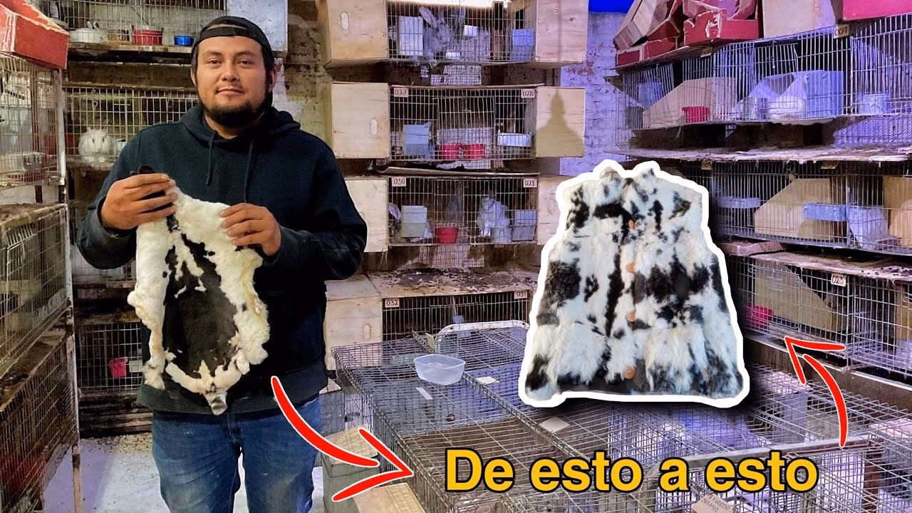 ¿Qué se necesita para curtir pieles?