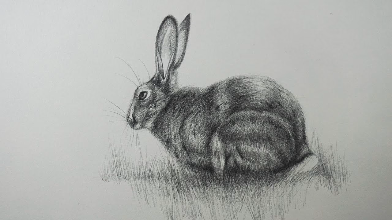 ¿Cómo empezar a dibujar mejor?