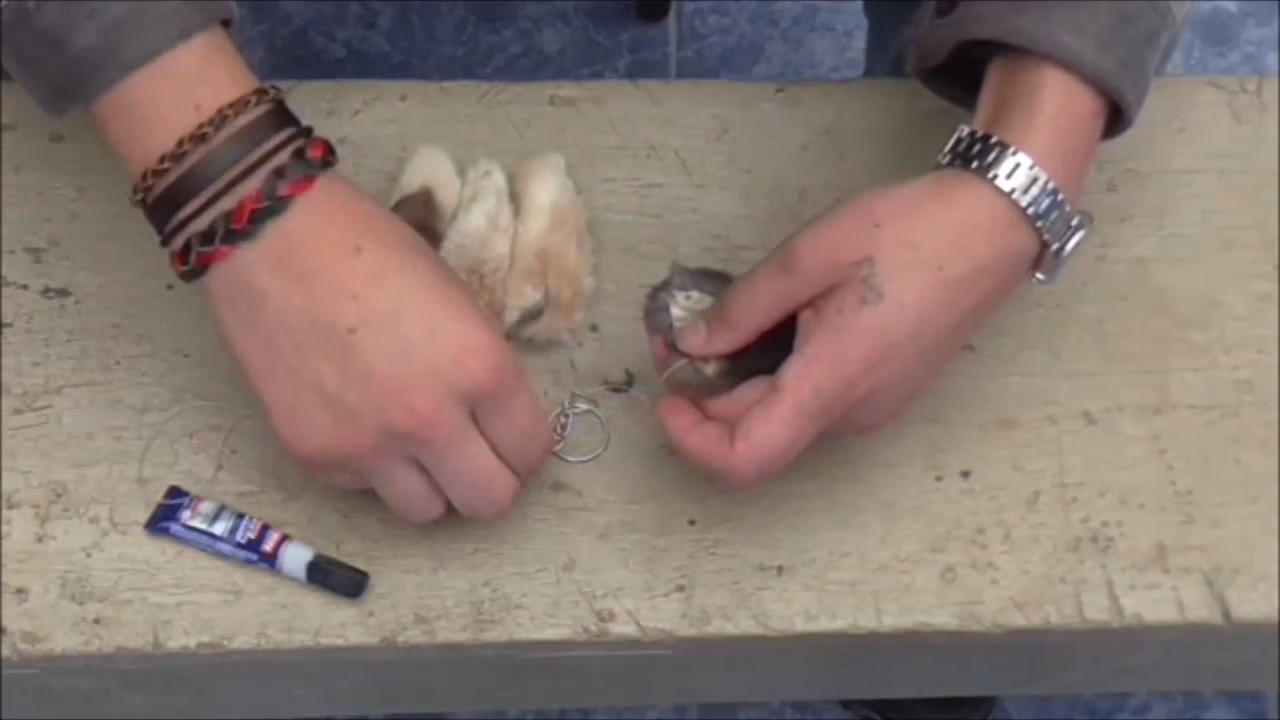 ¿Cómo conservar la cola de conejo?