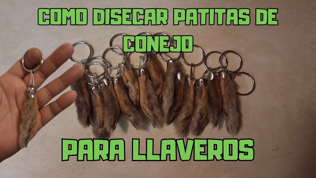 ¿Cómo hacer una conserva de pata de conejo?