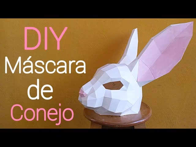 ¿Qué hacer con la cabeza de un conejo?