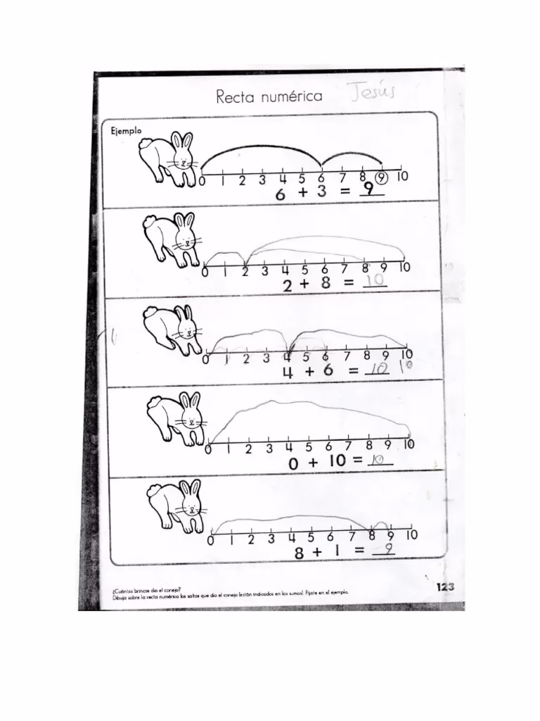 ¿Qué es conejo matemático?