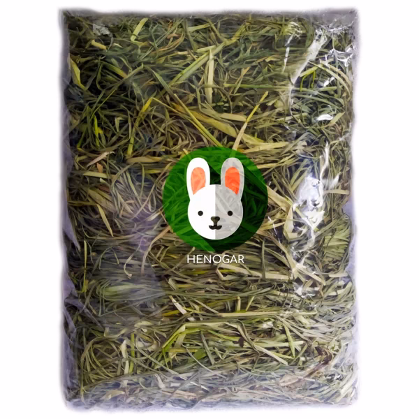 ¿Cómo hacer un ensilaje paso a paso?