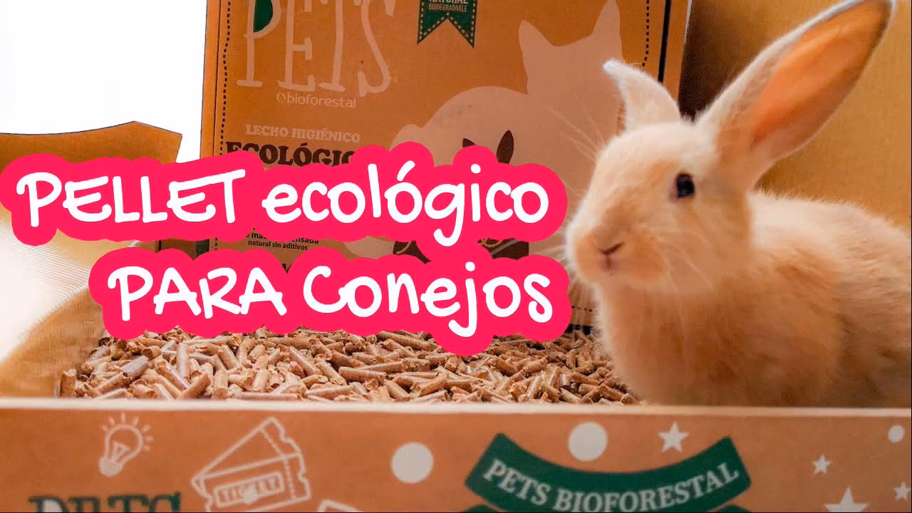 ¿Cuáles son los ingredientes de los pellets para conejos?