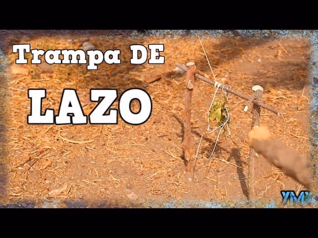 ¿Cómo construir trampas de lazo?