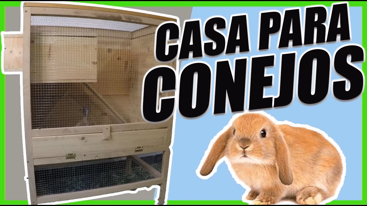 ¿Cuánto cuesta construir una casa para conejos?