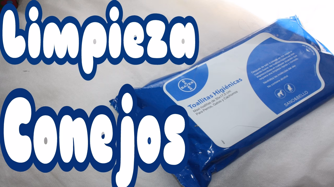 ¿Cómo se lava la piel de conejo?