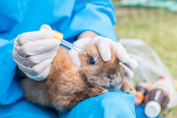 ¿Cuáles son los tres síntomas de la conjuntivitis?