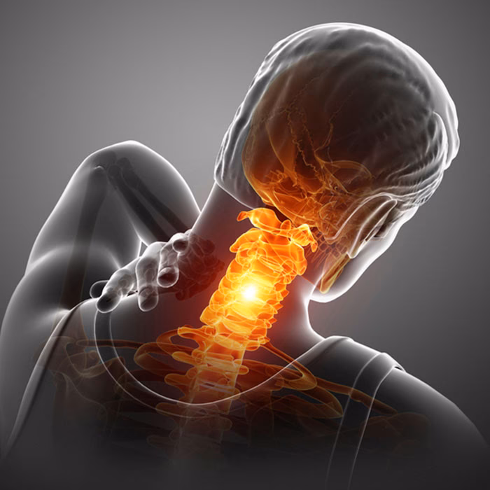 ¿Qué son los conejos del cuello?