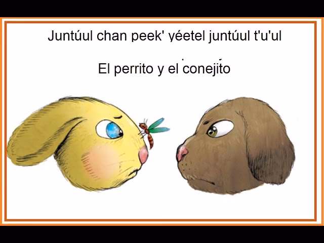 ¿Cómo se dice conejo en origen indígena?