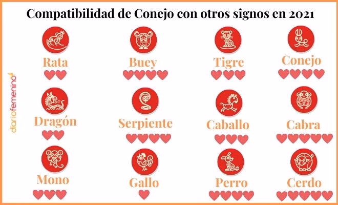 ¿Qué animal se lleva bien con el Conejo?