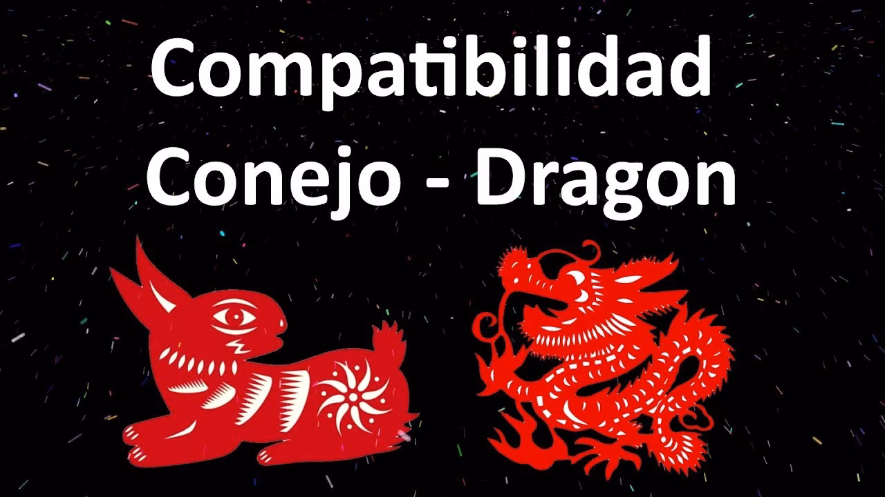 ¿Cómo se llevan los conejos y los dragones?