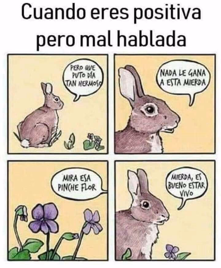 Is it conejo or coneja?