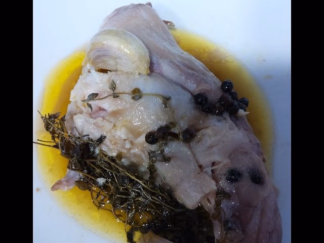 ¿Cómo saber la temperatura de un conejo?