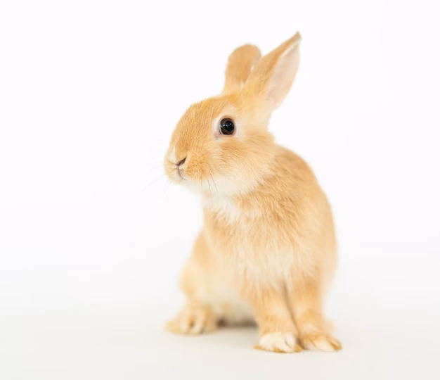 ¿Qué es el conejo amarillo en la película FNAF?