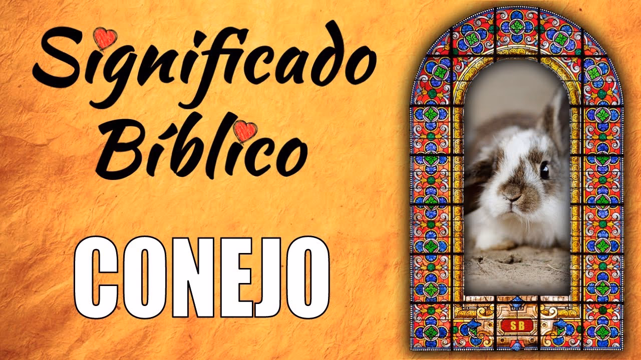 ¿Qué dice la Biblia sobre el conejo?