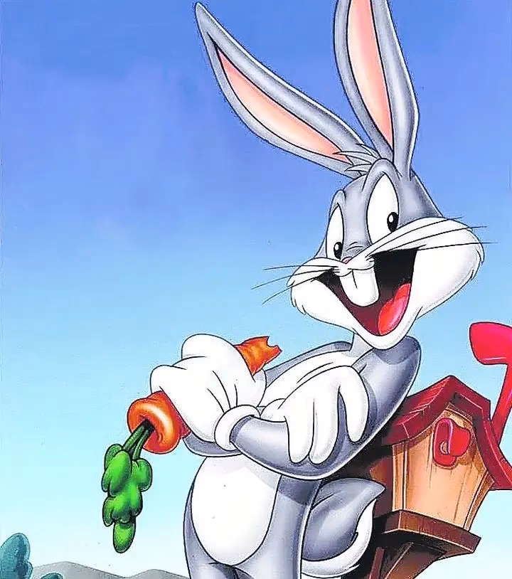 What is the insult from Bugs Bunny?