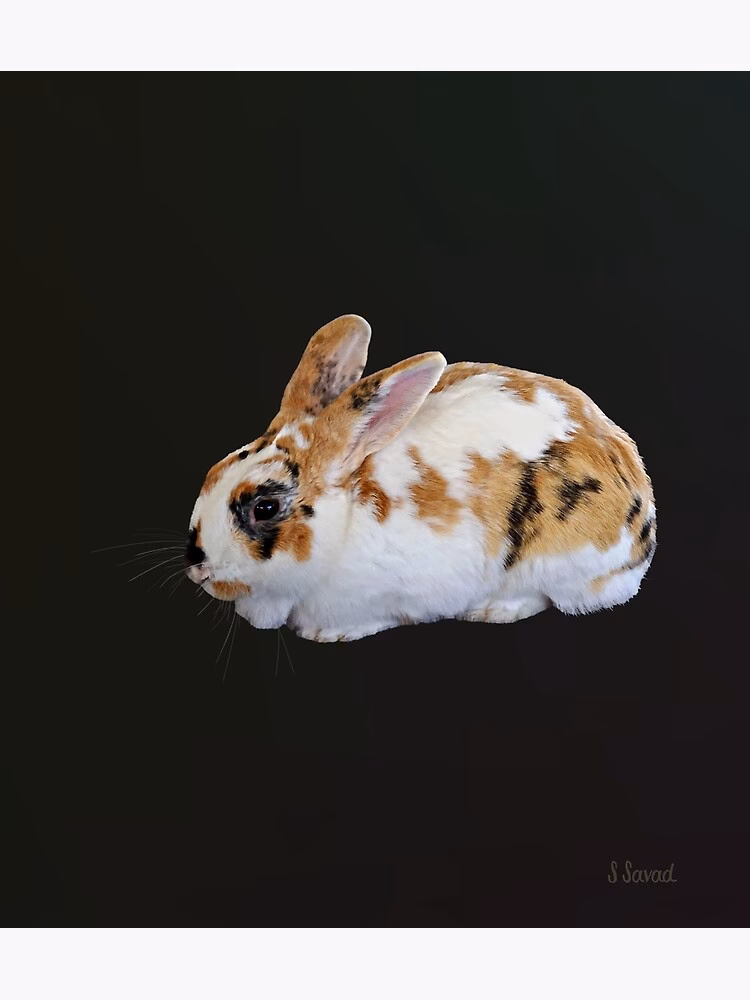 How to get calico rabbit dreamlight valley?