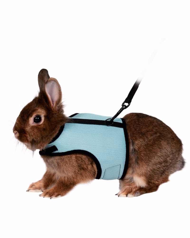 ¿Qué es un arnés para conejos?