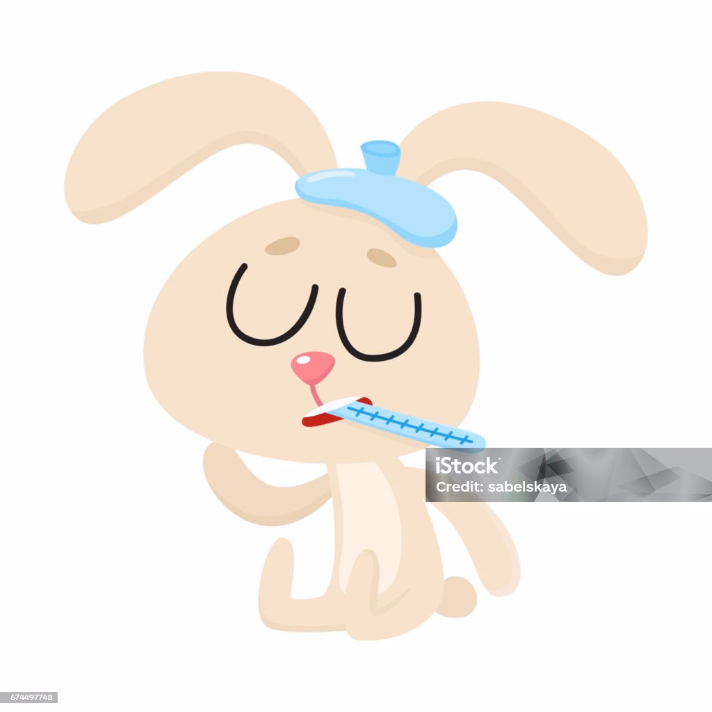 ¿Qué hacer cuando un conejo está estreñido?