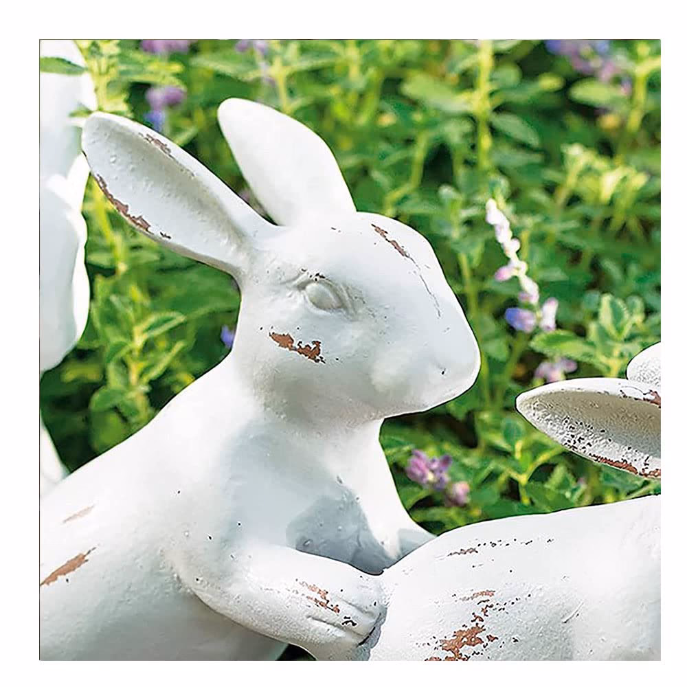 ¿Cuántos años tiene el cuarteto?