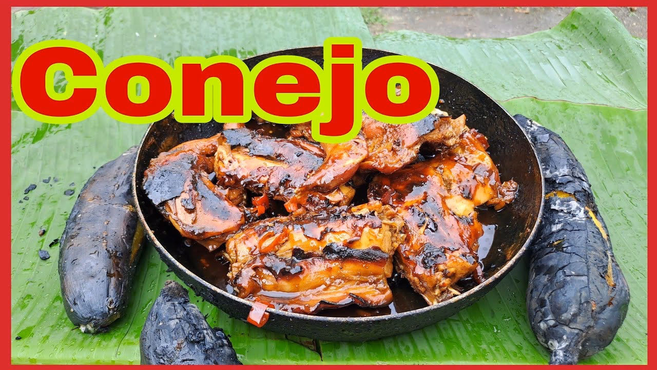 ¿Qué es un conejo de Castilla?