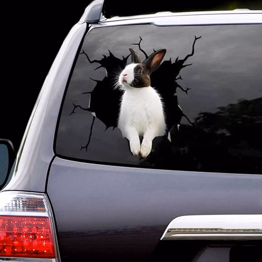 ¿Qué hago si me encuentro un conejo en la calle?