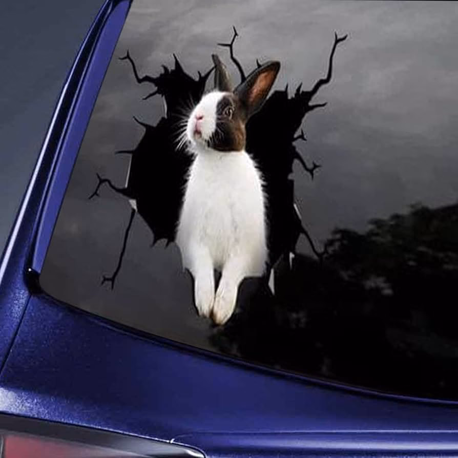 ¿Qué hago si me encuentro un conejo en la calle?