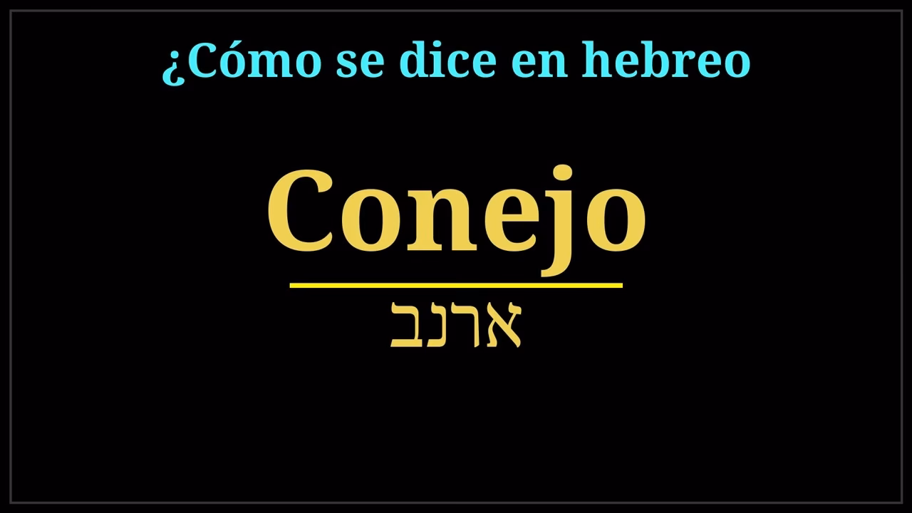 ¿Qué significa rabbit en hebreo?