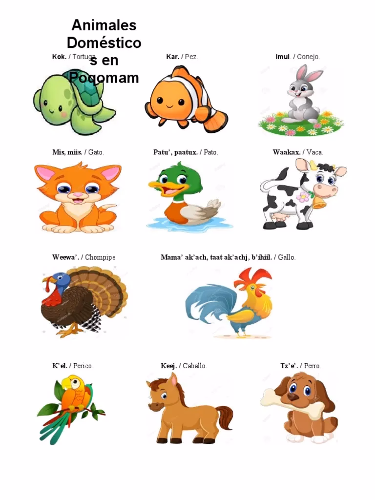 ¿Cómo se llaman los animales en poqomam?