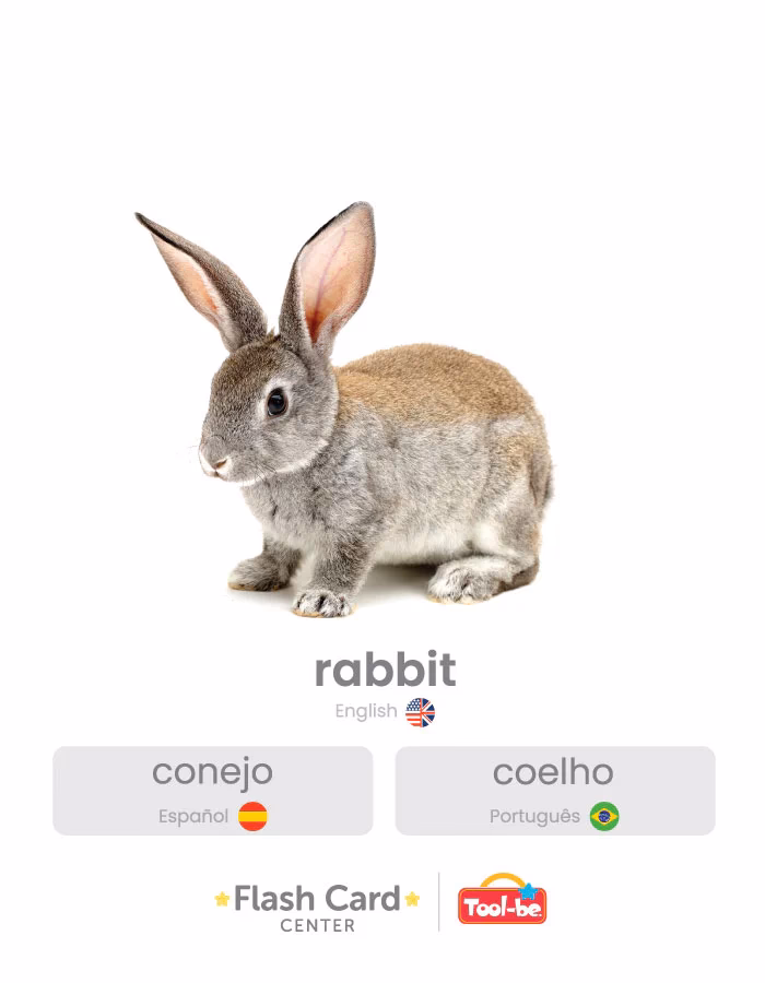 ¿Cómo se dice perro en portugués?