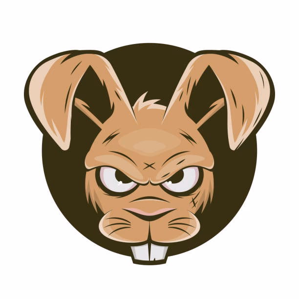 ¿Cómo calmar a un conejo enojado?