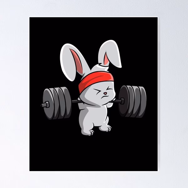 ¿Qué es el ejercicio conejo?