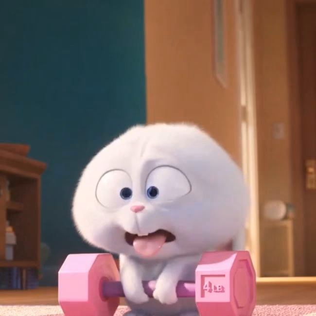 ¿Qué significa un conejito de gimnasio?