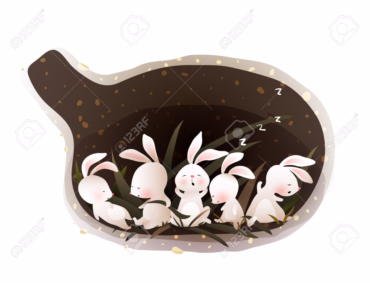 ¿Cómo sé si mi conejo está hibernando?