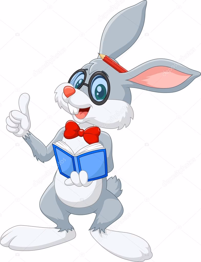 ¿Cómo puedo saber si mi conejo es inteligente?