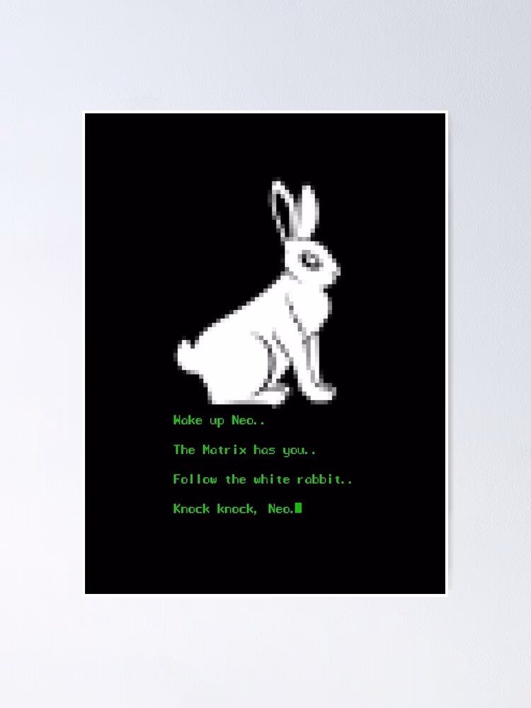 What is the significance of the white rabbit in the matrix?