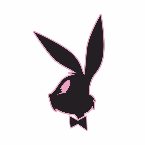 Why is rabbit called Playboy?