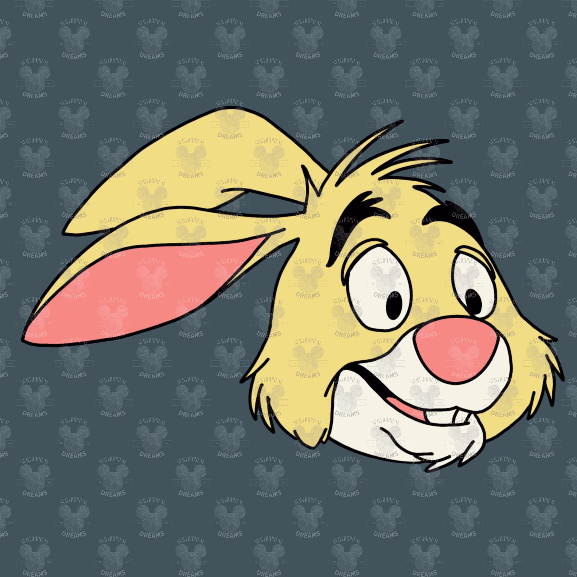 Why was he called Pooh?