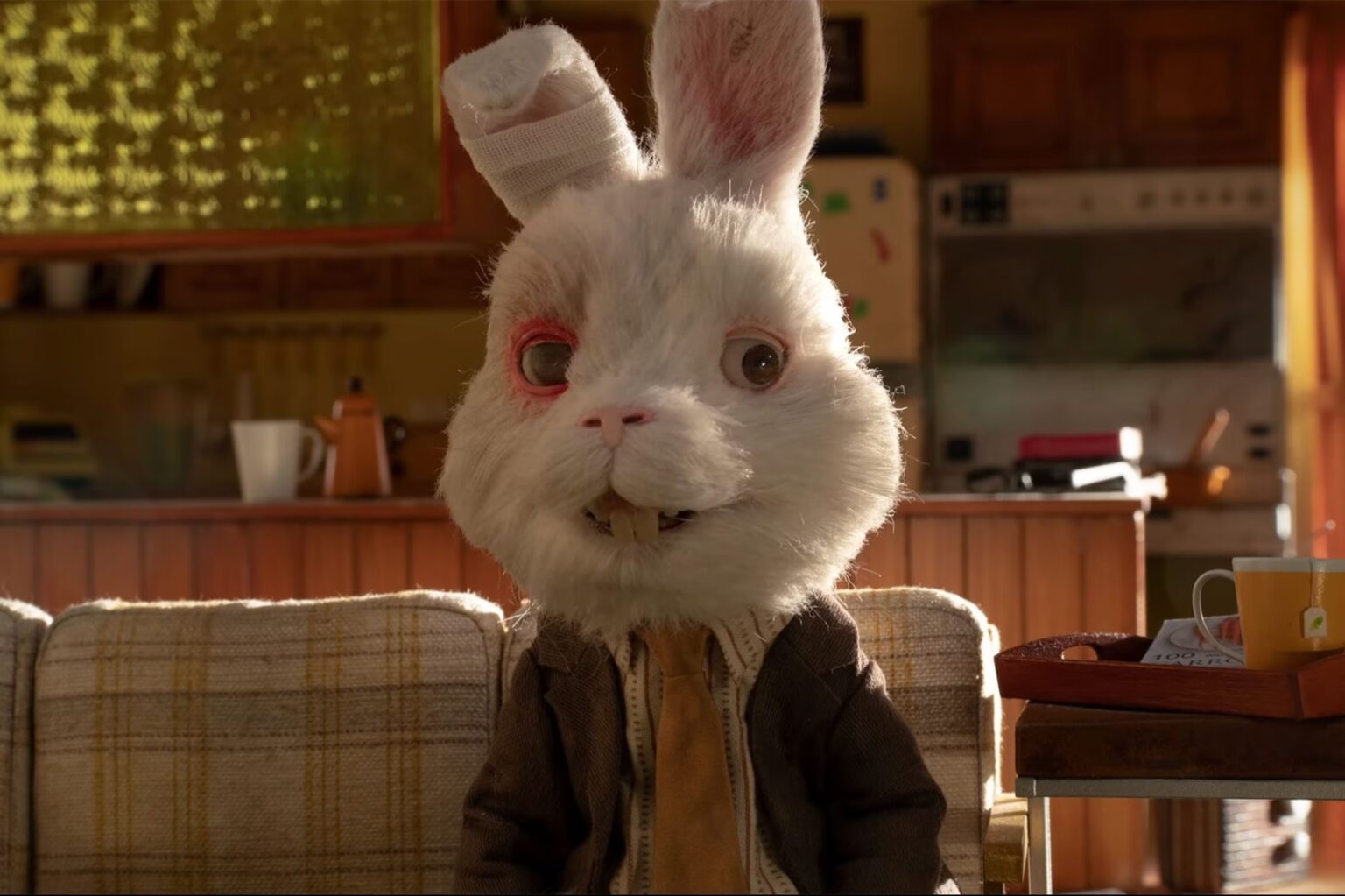 ¿Quién es el Conejo Ralph? Dos Historias | Mundo Conejo