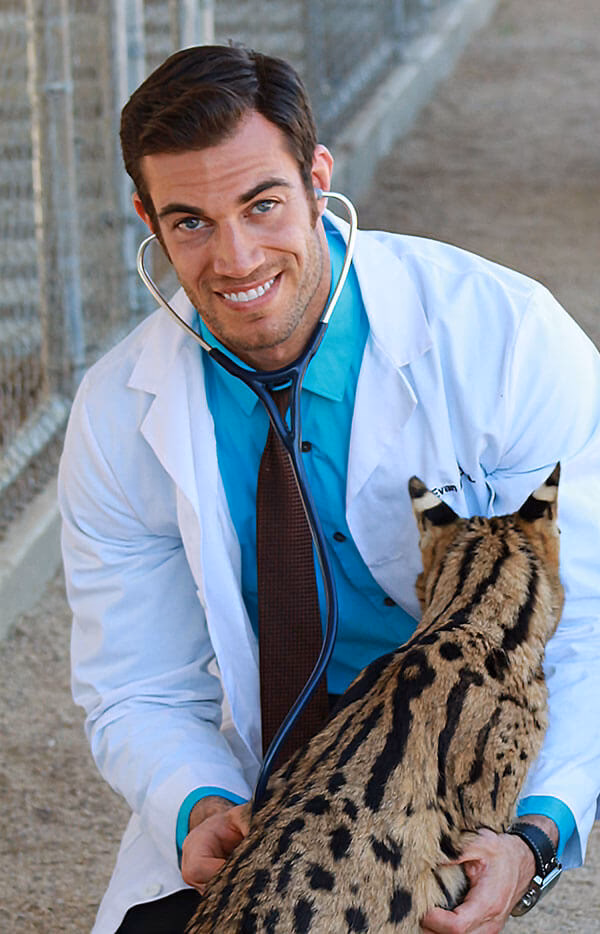 What is the difference between a vet clinic and a vet hospital?