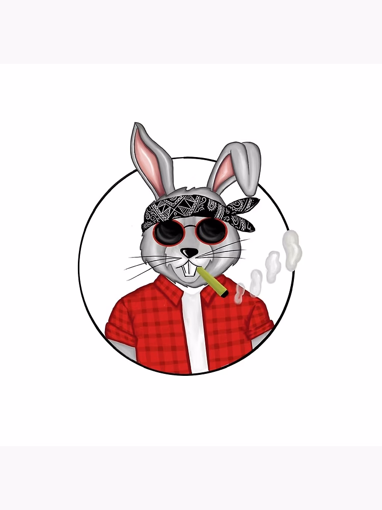 ¿Qué son los conejos criollos?