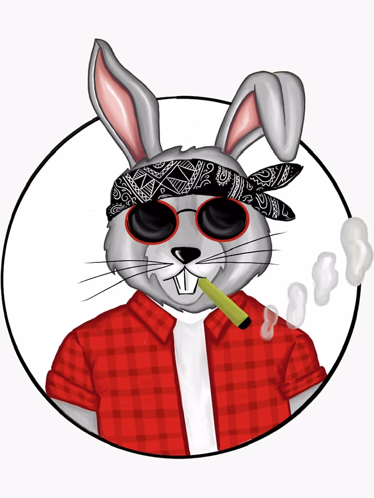 ¿Qué son los conejos criollos?