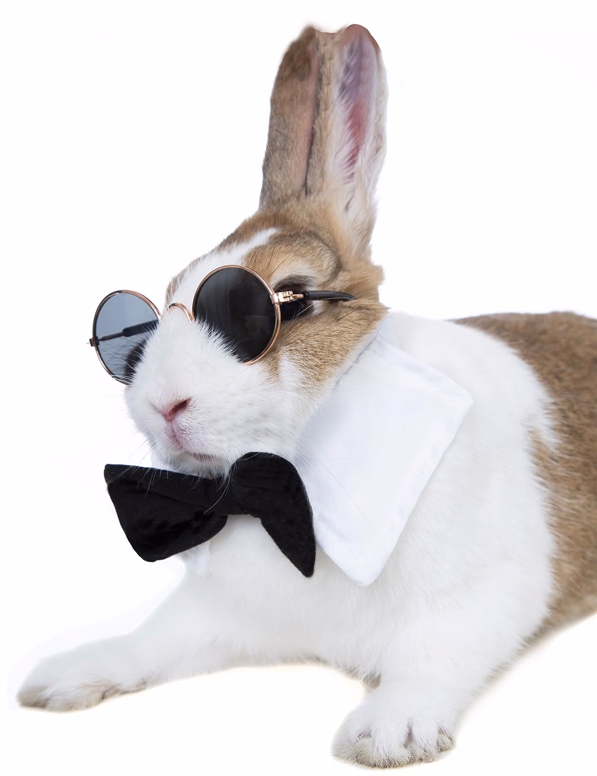 ¿Cómo se juega a los juegos con conejos?