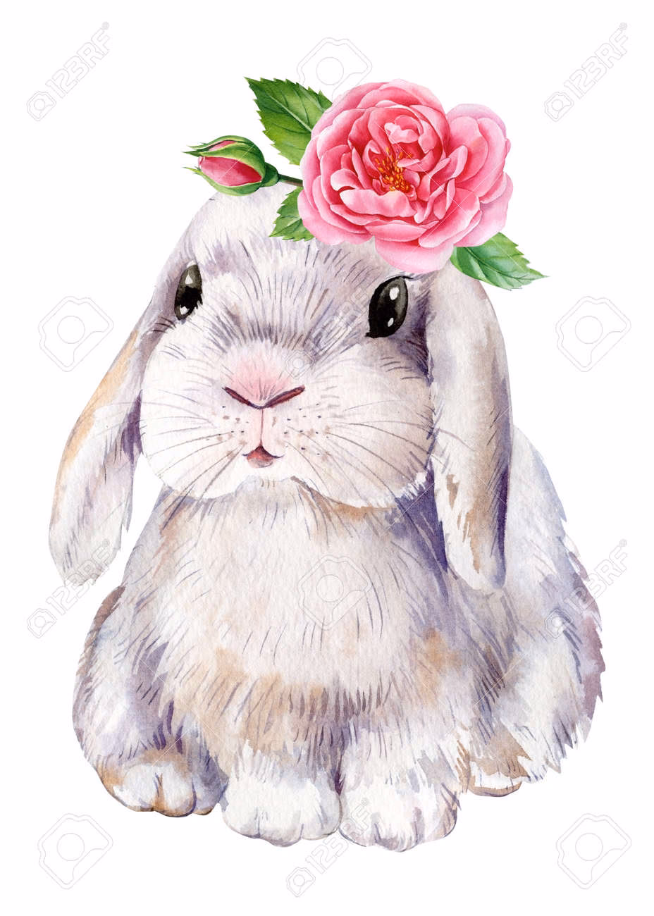 ¿Qué flores son tóxicas para los conejos?